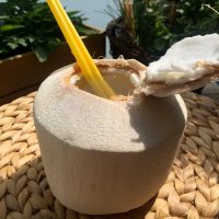 Na Jarné Vegánske Hody 2020 pre Vás pripravíme obľúbený Jackfruit HotDog, na osvieženie mladé kokosy a ako vitálny snack budeme mať pre Vás pripravené delikátne naturálne sušené ovocie. Tešíme sa na Vás :)